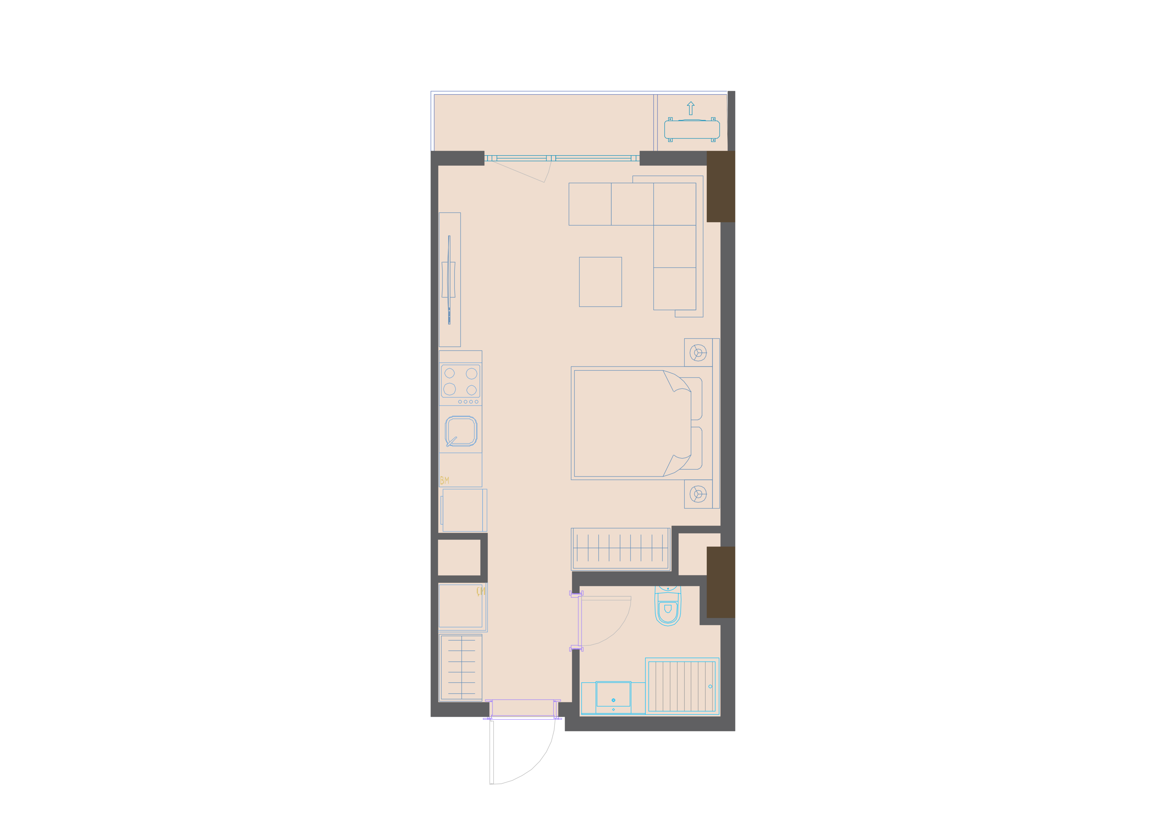 1 xonali kvartira, 31.9 m² — rejasi