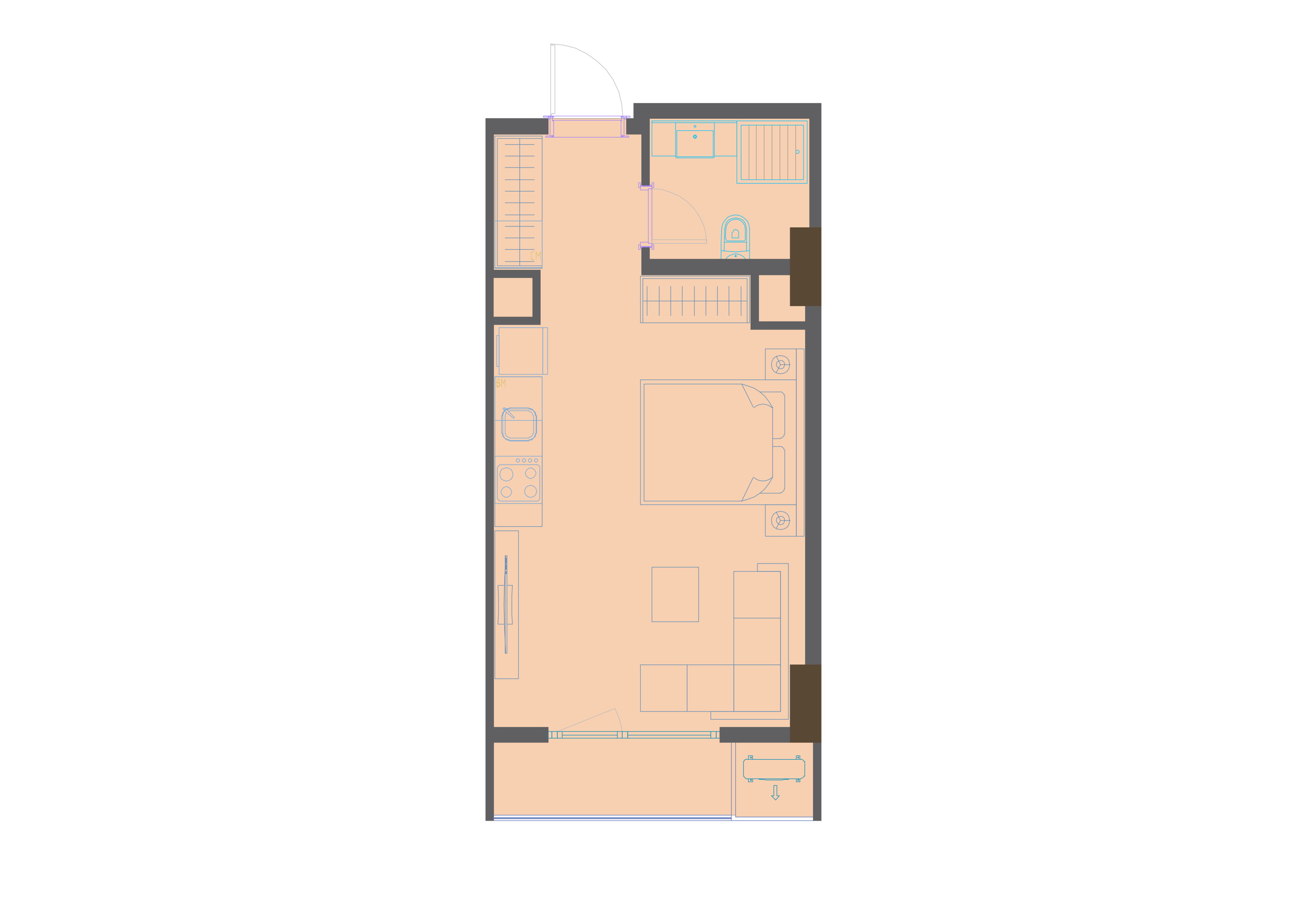 1 xonali kvartira, 32.5 m² — rejasi